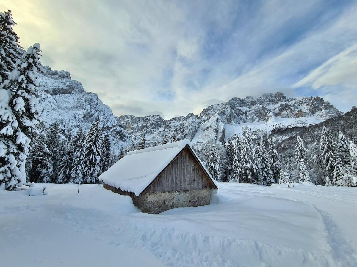 Chalet Camporosso 캄포로소인발카날레 외부 사진